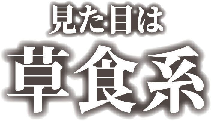 見た目は草食系