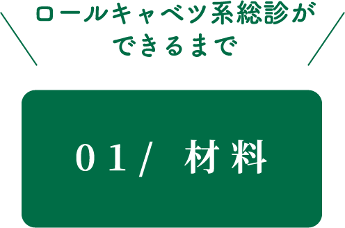 01/材料　ロールキャベツ系総診ができるまで