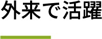 外来で活躍