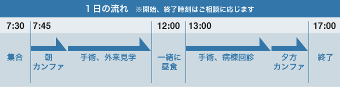 1日の流れ　※開始、修了時刻はご相談に応じます　7:30 集合、7:45 朝カンファ→手術、外来見学→12:00 一緒に昼食、13:00 手術、病棟回診→夕方カンファ→17:00 修了